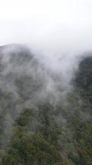 Vertical Video of Fog in the Mountains