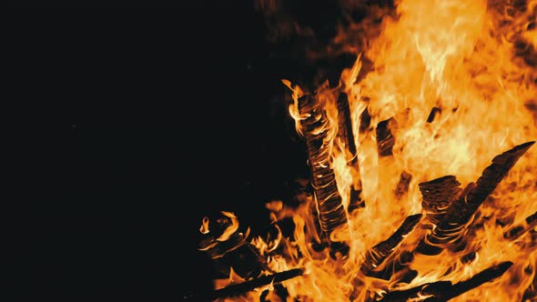 Bonfire Burns at Night on a Black Background on Nature