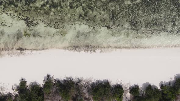 Vertical Video of Low Tide in the Ocean Near the Coast of Zanzibar Tanzania Aerial View