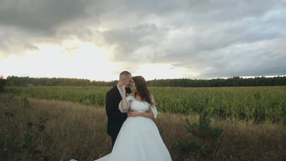 Beautiful Young Bride in a Chic Dress with a Train in the Arms of the Groom on the Edge of a Corn