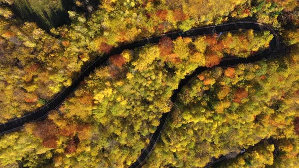 Aerial Above View of Epic Colorful Autumn Forest Winding Road