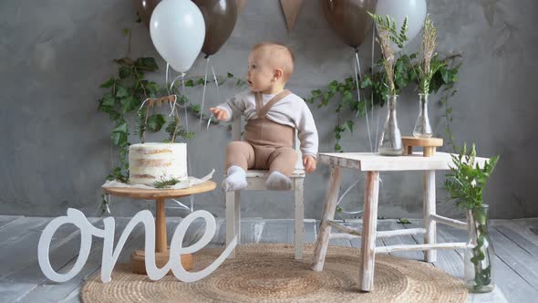 Baby's Birthday Natural Decor for the First Year Baby on the Background of Balloons and Cake Rustic