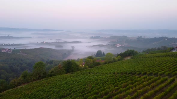 Hills with Fog Mist Aerial View, Langhe Piedmont Italy