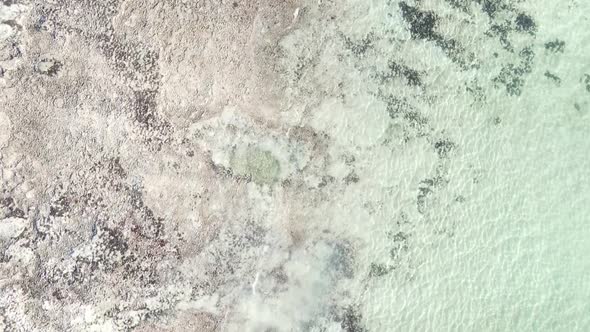 Vertical Video of Low Tide in the Ocean Near the Coast of Zanzibar Tanzania Aerial View