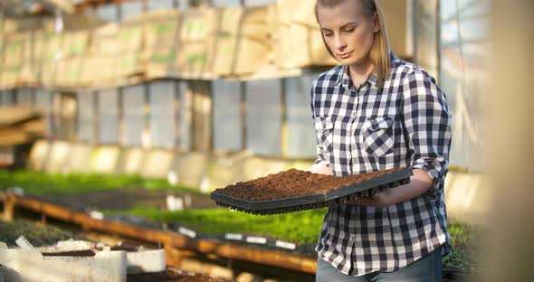 Young Female Botanist Examining Potted Plant