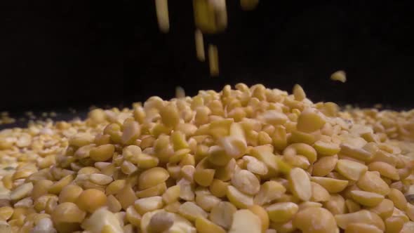 Dried Peas Are Poured on a Table, Black Background.