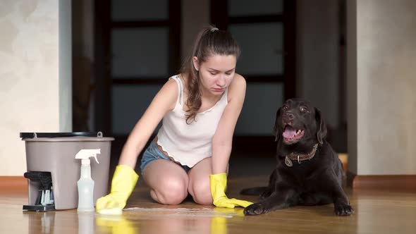 dog got dirty on the floor and the hostess is unhappy. A woman washes the floor