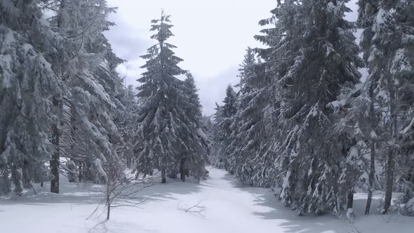 Aerial View of a Fabulous Winter Mountain Landscape Closeup During Snowfall