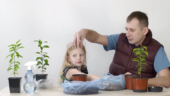 Happy Emotions of Father and Child. Father and Daughter Transplanted Indoor Plant Mandarin Little