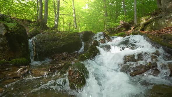 Slow Motion Shot of Mountain River in the Forest. Streams of Water Run Through Moss-covered Stones