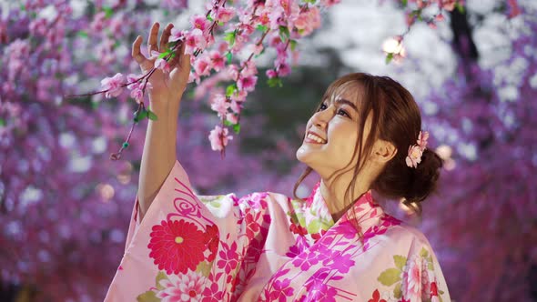 woman in yukata (kimono dress) looking sakura flower or cherry blossom blooming in the garden