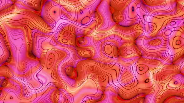 Pink Red Color Abstract Seamless Line Pattern Liquid Animated Background