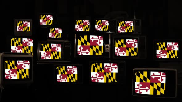 The official flag of the state of Maryland and Retro TVs.