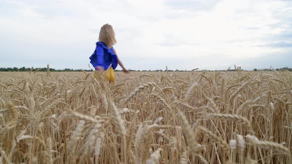 Beautiful Ukrainian Woman Wearing Dress in Ukrainian National Flag Colours Blue and Yellow at Wheat