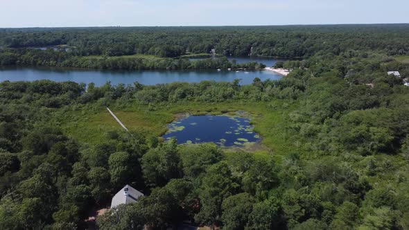 Flying over a pond in Massachusetts