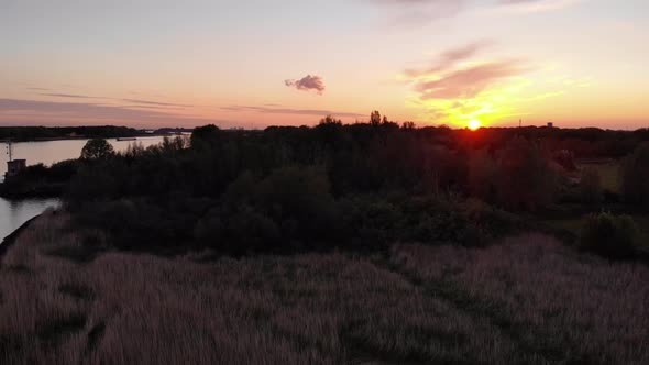 Golden Wild Grass At Riverbanks Near Barendrecht In South Holland, Netherlands During Sunset. - Tilt