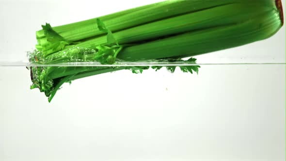 Super Slow Motion Celery Falls Into the Water with Splashes