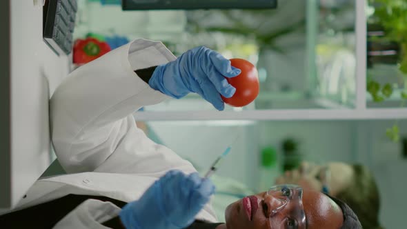 Vertical Video African Biochemist with Medical Gloves Injecting Organic Tomato with Pesticides