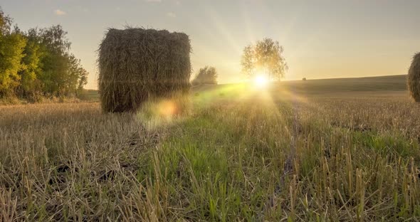 Flat Hill Meadow Timelapse at the Summer Sunset Time