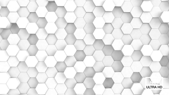 White Hexagon Background