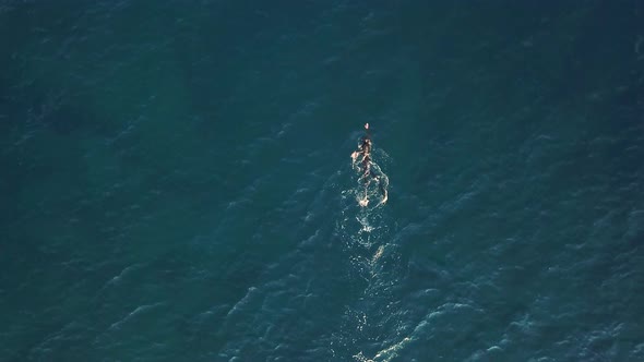 Aerial view of a man swimming at ocean water, Croatia.