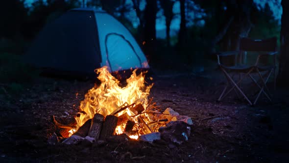 Camping (4K)