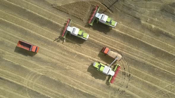 Close Upper View Harvester Loads Grain Into Orange Truck