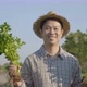 Slow motion 4K Happy Asian farmer harvest fresh vegetables in organic farm. - VideoHive Item for Sale