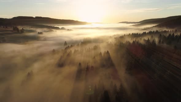 Aerial view of sunrise with fog above lake Schluchsee, Germany