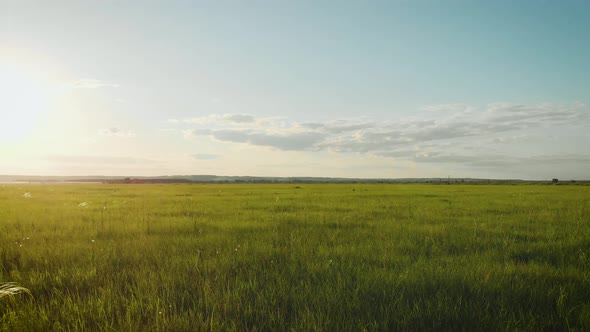 Modern Agriculture