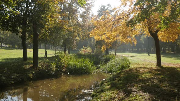 Beautiful scene of nature by the autumn slow tilt 3840X2160 UltraHD footage - Early morning sun over