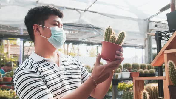 A masked asian man picks up a potted cactus and examines it in bright sunlight inside a greenhouse h