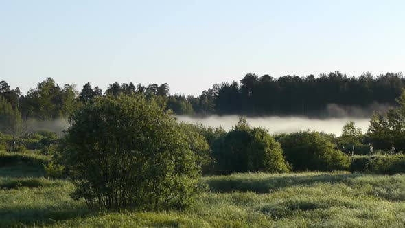 Moving Fog At Dawn 9