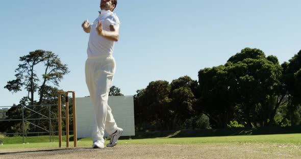 Bowler delivering ball and appealing during cricket match