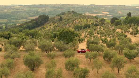 Countryside In Italy