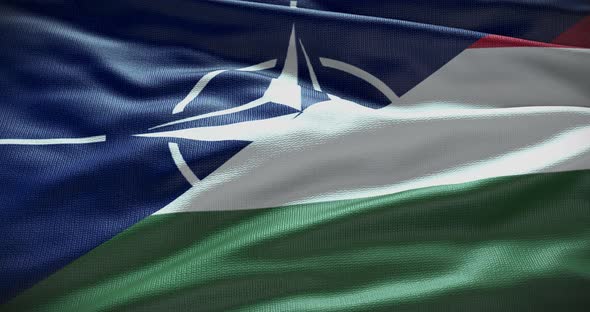 Hungary and NATO waving flag animation