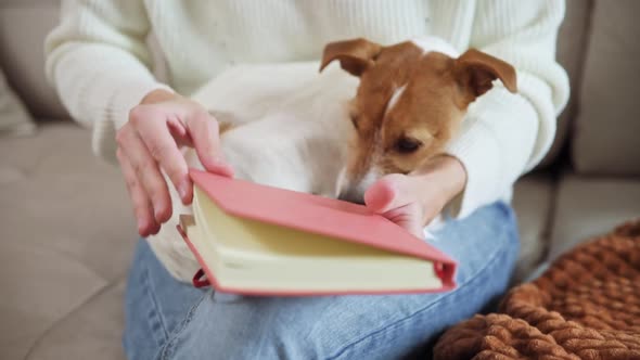 Woman Write Notes in Notebook at Home