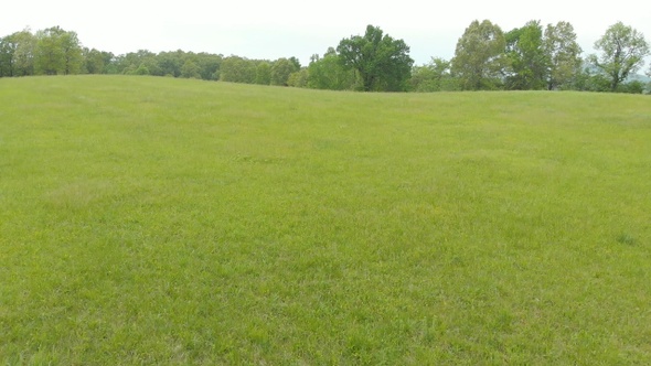 Grass Prairie Field