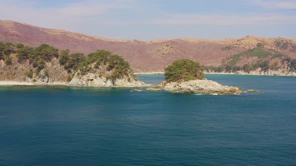 Rocky Island Washed By Waves Covered with Coniferous Trees in a Sea Bay