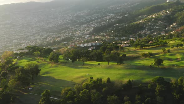 Picturesque Slopes with Vibrant Greenery