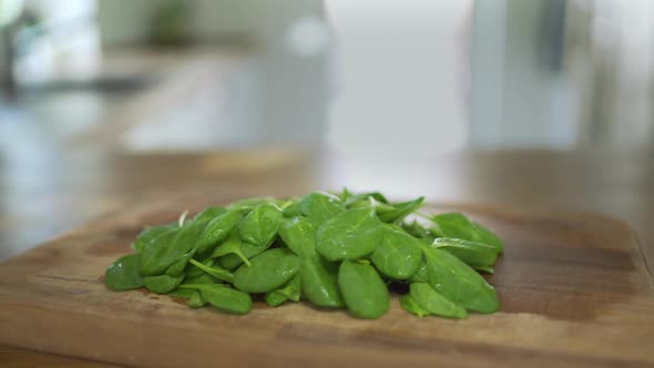 Slider Tracking Shot Of Spinach