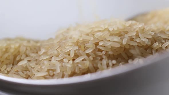 Raw Rice Grains