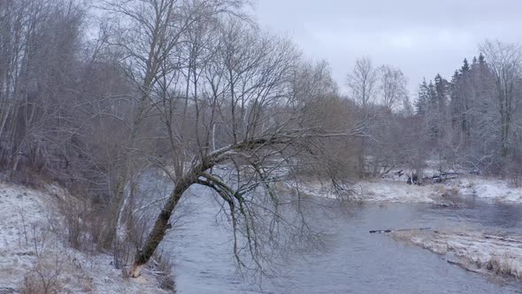 Winter Morning