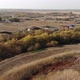 Beautiful Rural Autumn Landscape From a Height in Russia - VideoHive Item for Sale