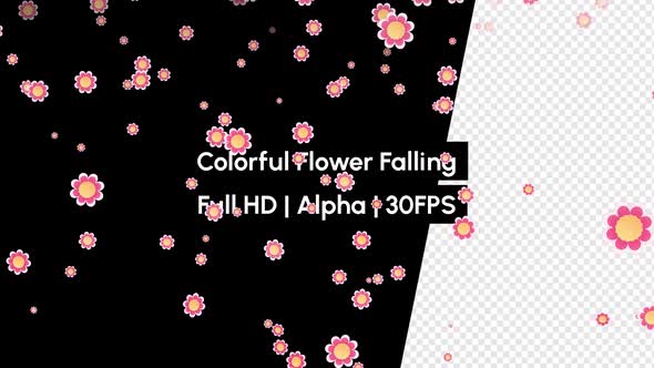 Colorful Flower Falling with Alpha