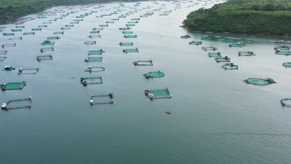 Fish Farm with Cages for Fish and Shrimp in the Philippines, Luzon. Aerial View of Fish Ponds for