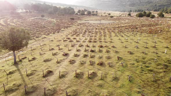 Aerial View. Sad Hill Cemetery, Spain