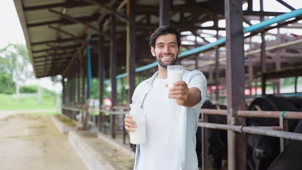 Portrait of Caucasian man dairy farmer drink bottle of milk in cowshed.