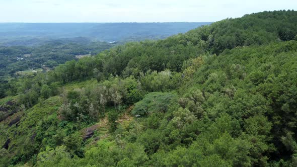 Aerial view of green forest in Indonesia. Scenic view from highness