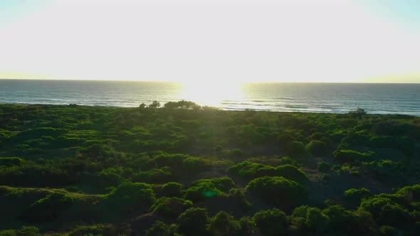 Drone rising to see beautiful sunrise over trees and beach